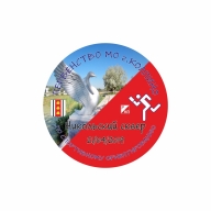 Открытое Первенство МО г. Колпино Открытое Первенство МО г. Колпино
